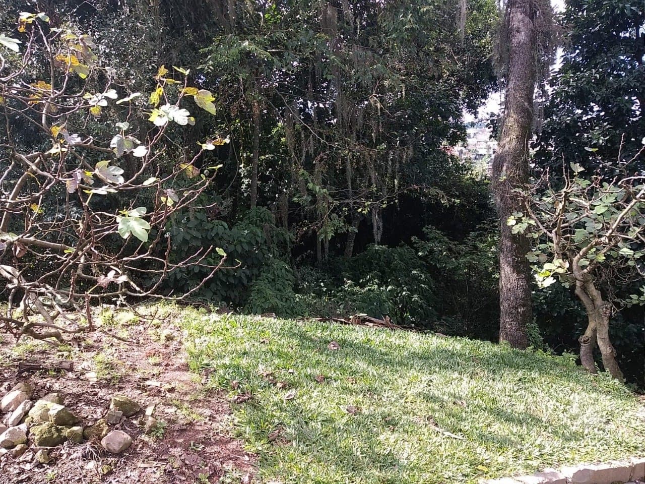 iv62_34470662010785ed43.jpg