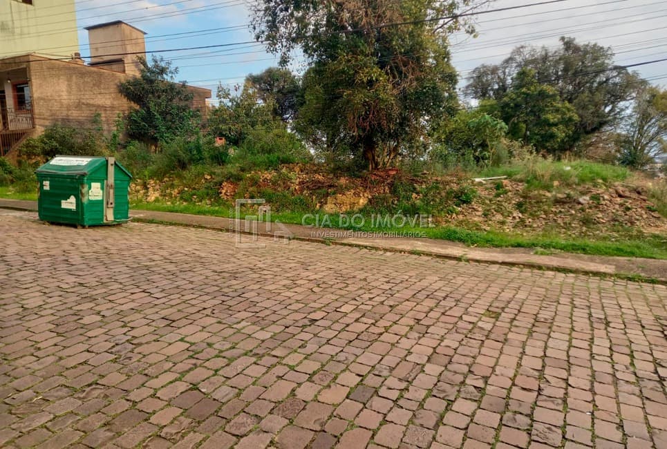 iGZLRL3_5206169baedf36255e.jpg