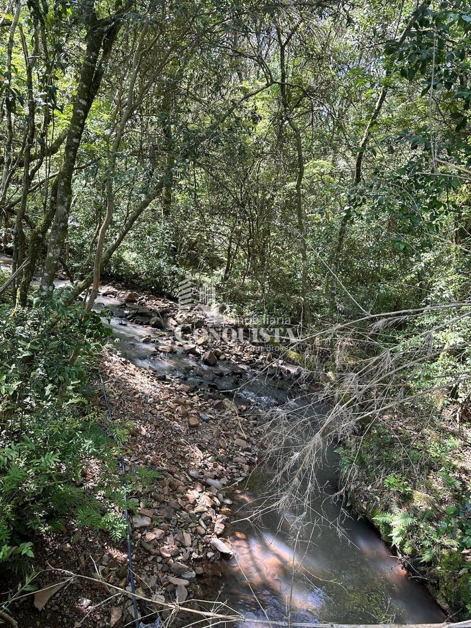 Linda Chácara com 24.000 m² (2,4 hectares) a 30 minutos de Caxias do Sul