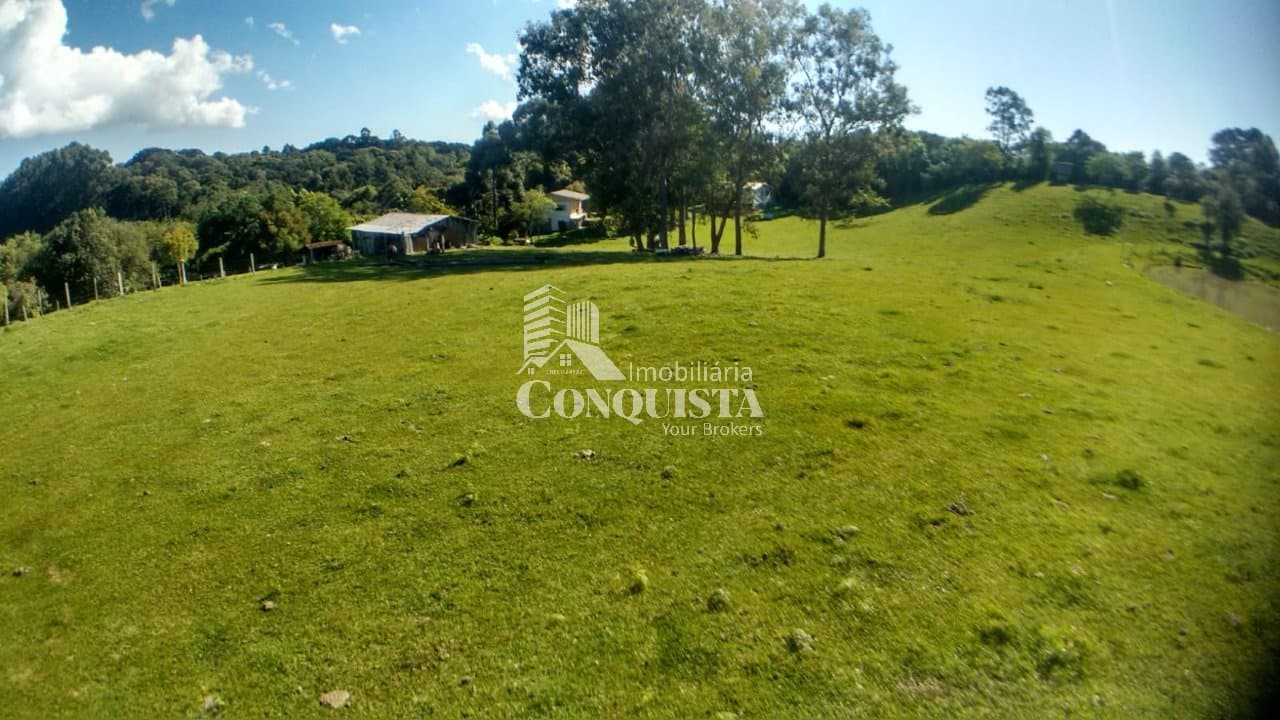 CHACARÁ EM FLORES DA CUNHA