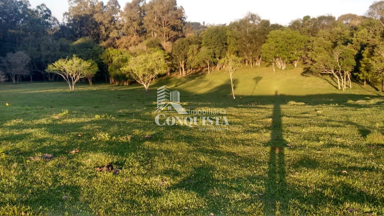 CHACARÁ EM FLORES DA CUNHA