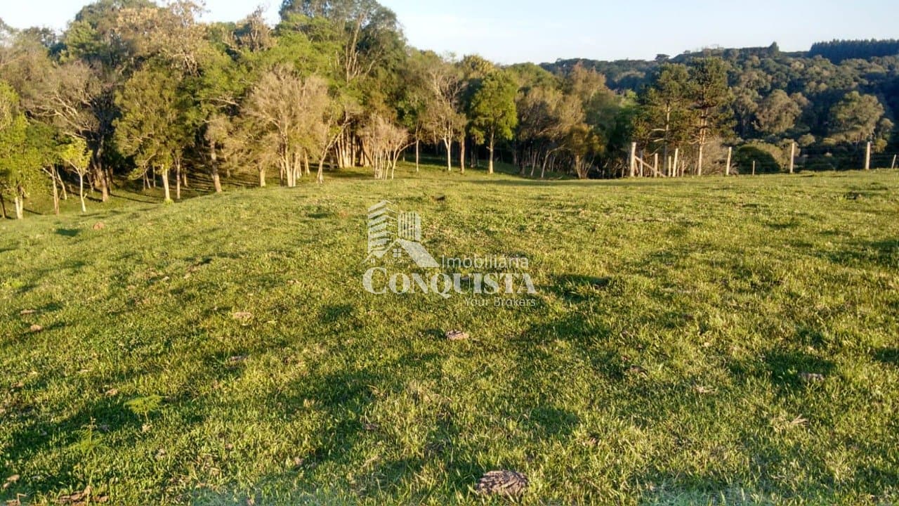 CHACARÁ EM FLORES DA CUNHA