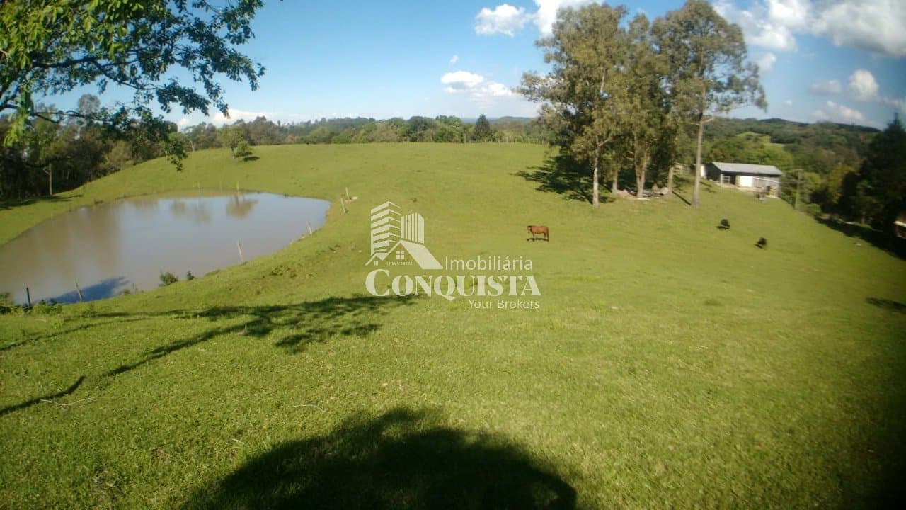 CHACARÁ EM FLORES DA CUNHA