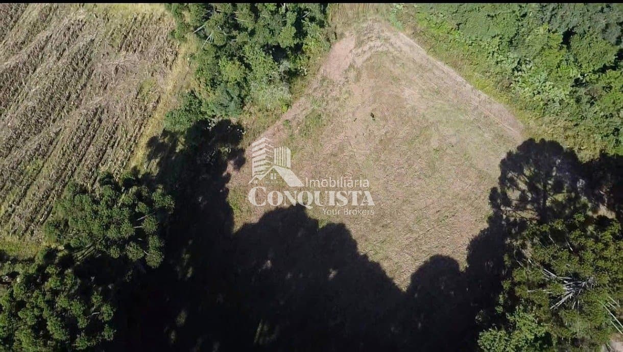 Chácara com 2,7 Hectares a Apenas 500m do Asfalto ? Próxima a Caxias do Sul