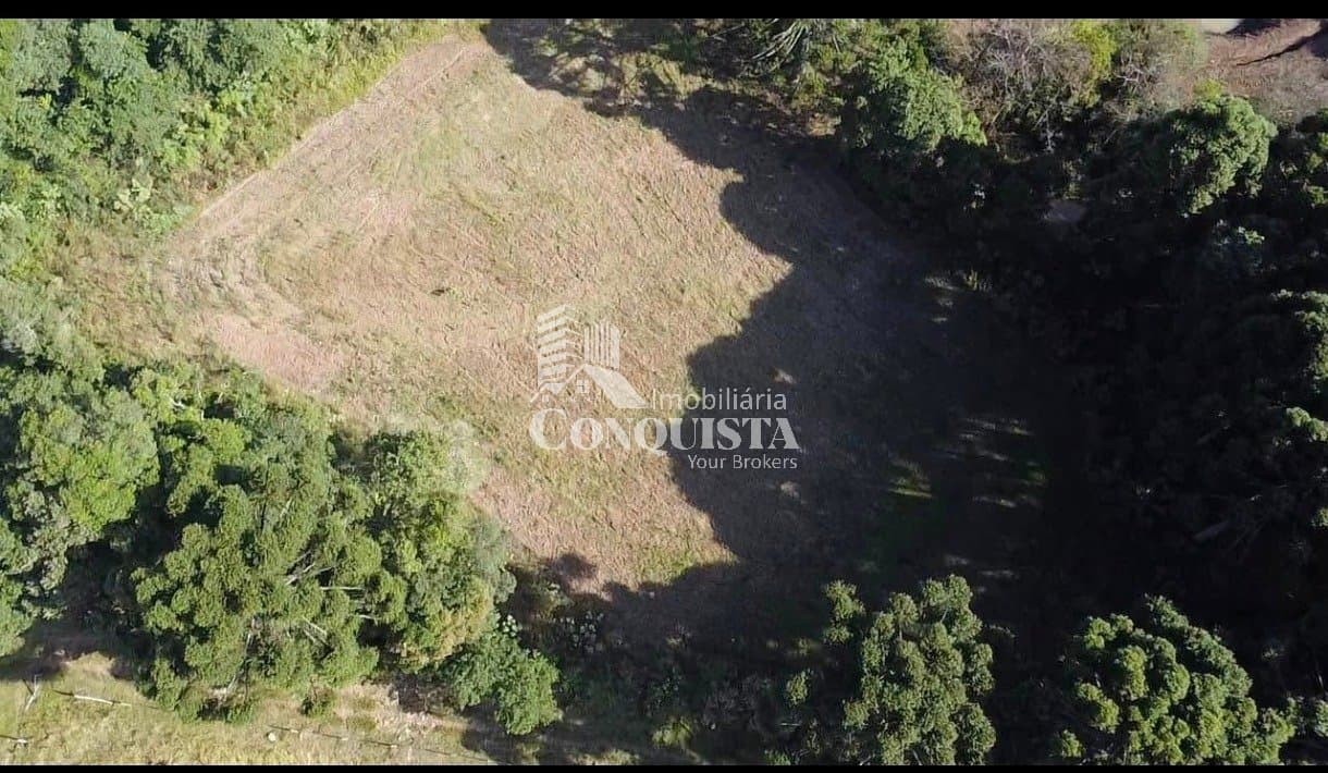 Chácara com 2,7 Hectares a Apenas 500m do Asfalto ? Próxima a Caxias do Sul