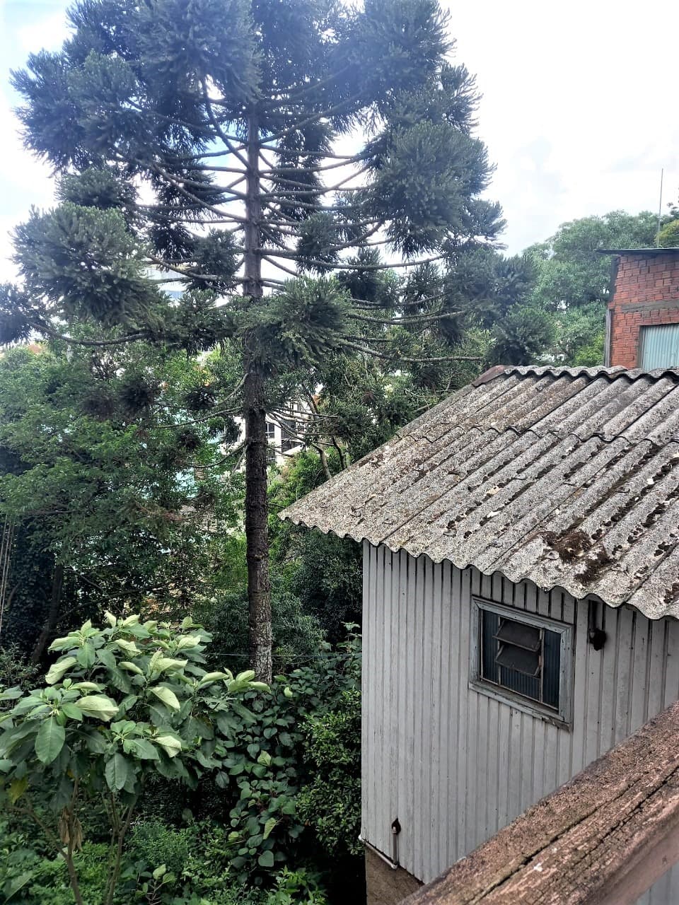 Terreno à venda no Bairro Rio Branco