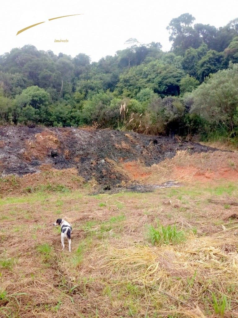 Terreno Vila Maestra