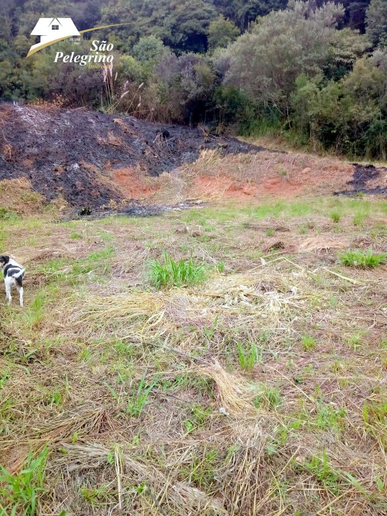 Terreno Vila Maestra