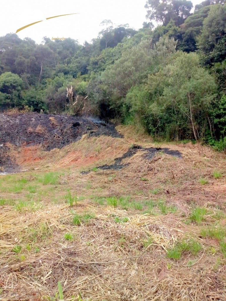Terreno Vila Maestra