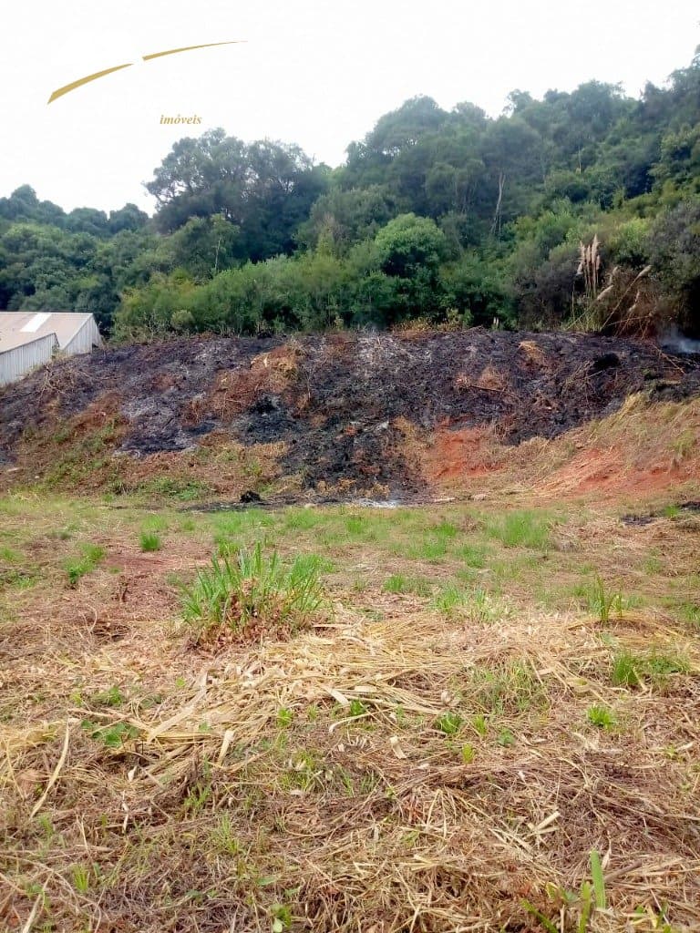 Terreno Vila Maestra
