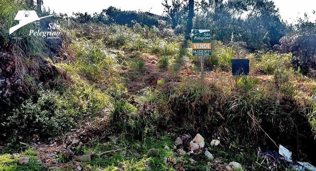 Terreno São Caetano