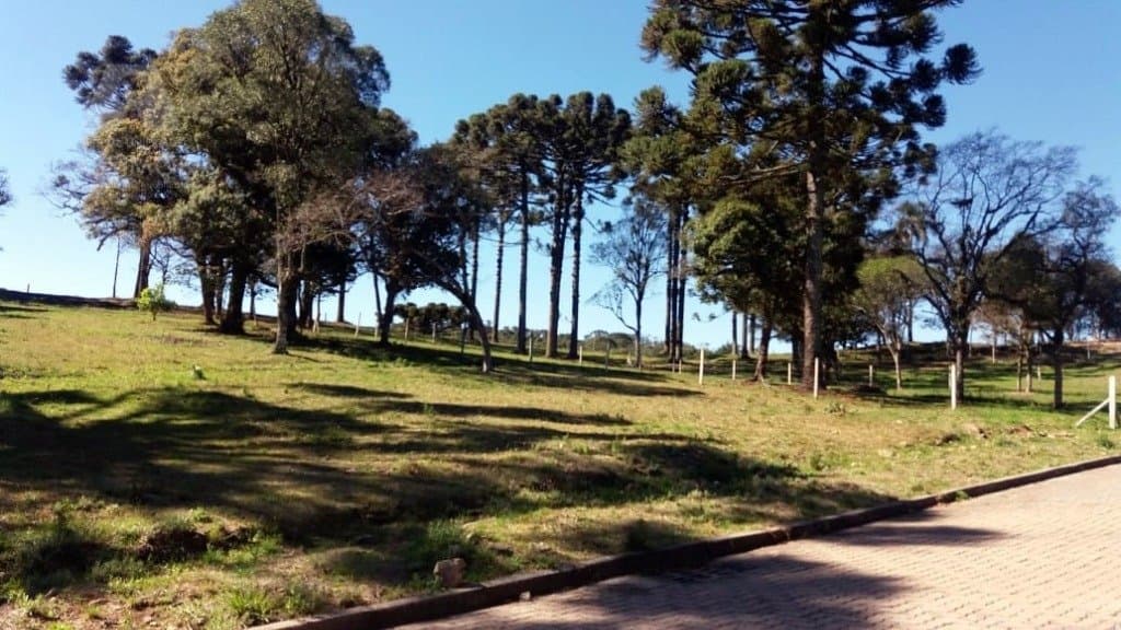 Village Mirasol Loteamento Residencial