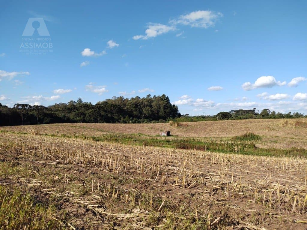 Área de Terra