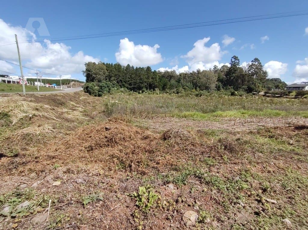 Área de Terra