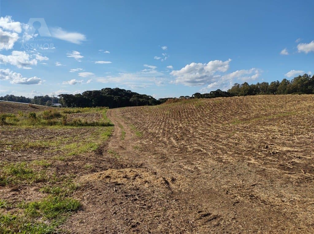 Área de Terra