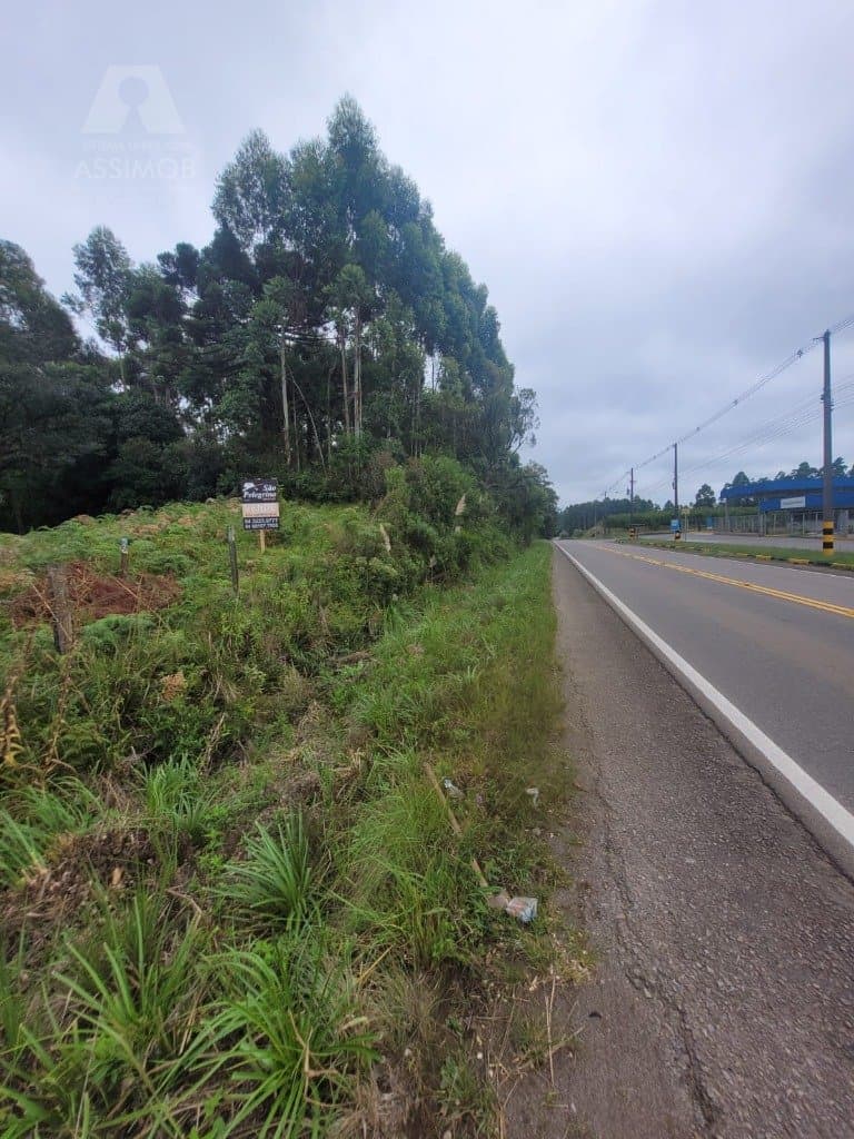 TERRENO PROPRIO PARA INDUSTRIA