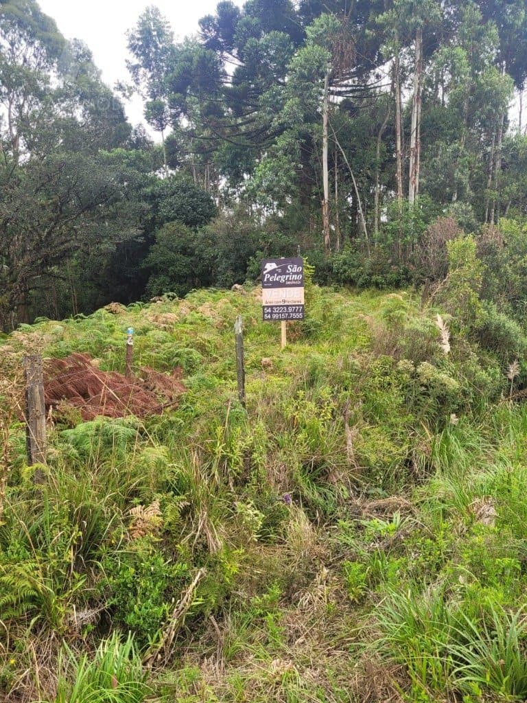 TERRENO PROPRIO PARA INDUSTRIA