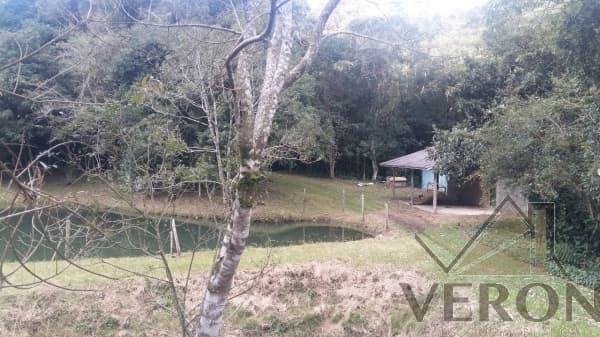 Venda de área de terra em Caxias do Sul, bairro Forqueta