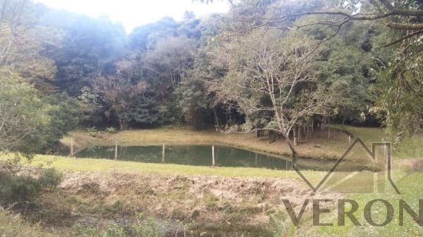 Venda de área de terra em Caxias do Sul, bairro Forqueta