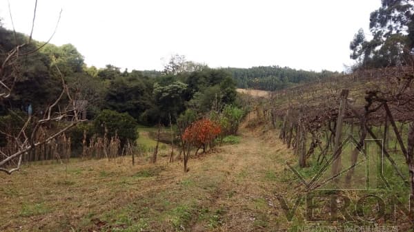 Venda de área de terra em Caxias do Sul, bairro Forqueta