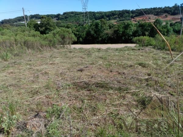 Boa vista Loteamento Residencial
