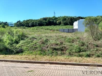 Boa vista Loteamento Residencial