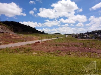 Terreno Loteamento Monte Alegre