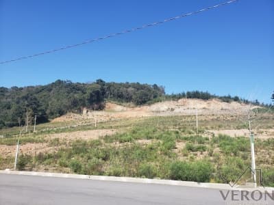 Terreno Loteamento Monte Alegre