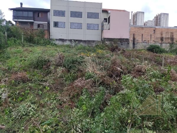 Terreno Bela Vista