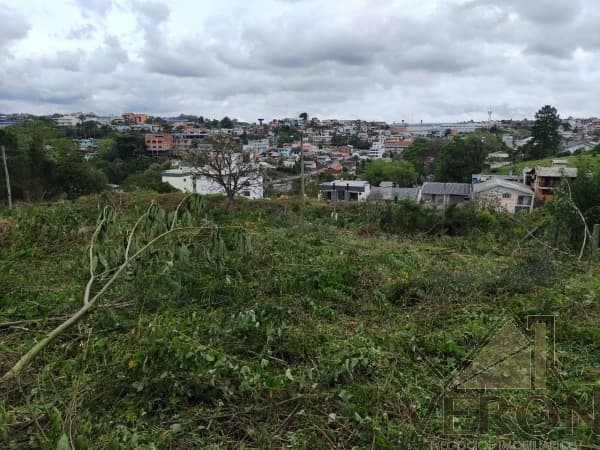 Terreno Bela Vista