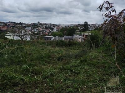 Terreno Bela Vista