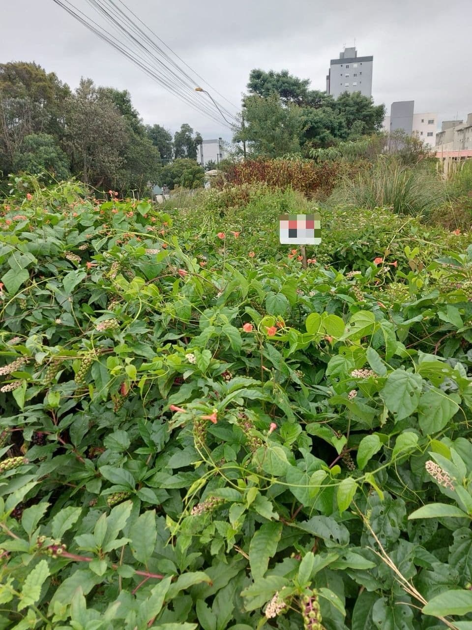Venda de Terreno em Caxias do Sul, bairro Morada Dos Alpes